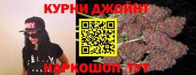 сатива Новодвинск