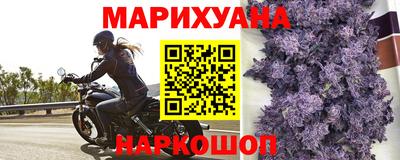 молекула духа Нальчик