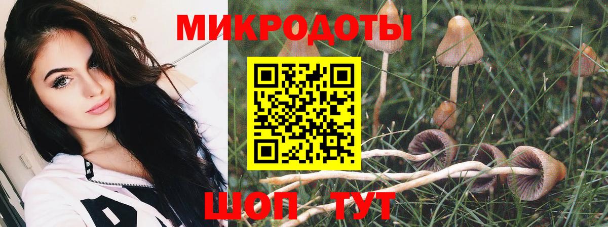 где купить   Вход с VPN  Татарск  Галлюциногенные грибы мухоморы 