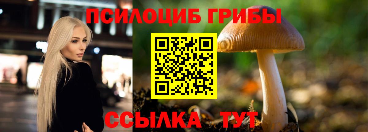 Псилоцибиновые грибы ЛСД Татарск
